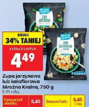 Zupa jarzynowa lub kalafiorowa Mrożna Kraina