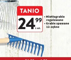 Miotłograbie regulowane