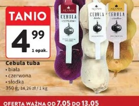 Cebula tuba biała/czerwona/słodka