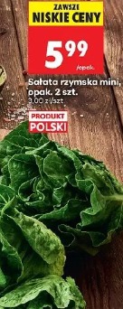 Sałata rzymska mini, 2 szt.