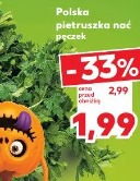 Polska pietruszka nać pęczek