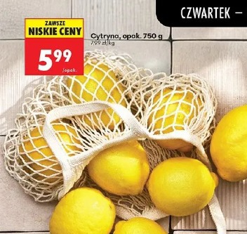 Cytryna, opak.