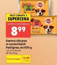 Pedigree karma dla psa w saszetkach