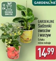 Gardenline Sadzonki owoców i warzyw