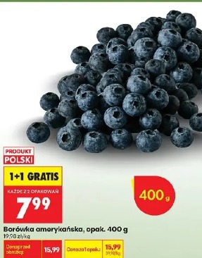 Borówka amerykańska opak.