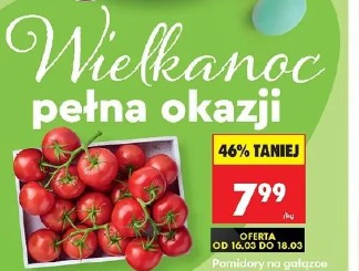 Pomidory na gałązce