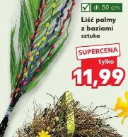 Liść palmy z baziami