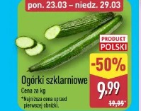 Ogórki szklarniowe