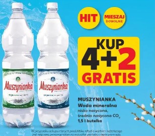 Muszynianka woda mineralna nisko nasycona, średnio nasycona CO2