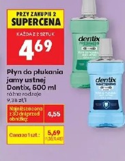 Dentix płyn do płukania jamy ustnej