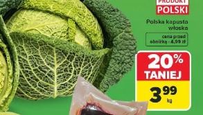 Polska kapusta włoska