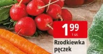 Rzodkiewka pęczek