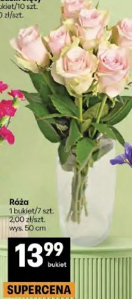 Róża
