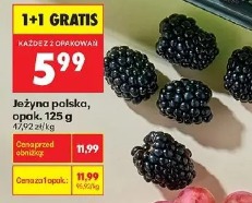 Jeżyna polska