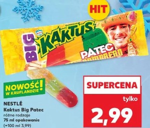 Nestlé Kaktus Big Patec różne rodzaje