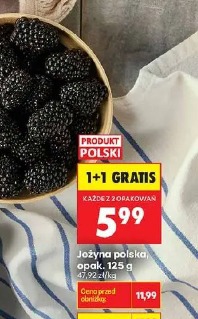Jeżyna polska