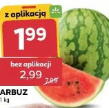 Arbuz