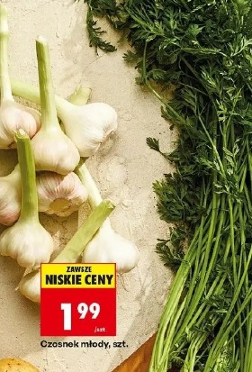 Czosnek młody, szt.