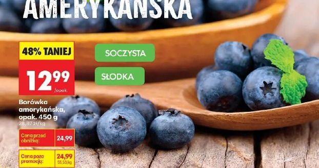 Borówka Amerykańska