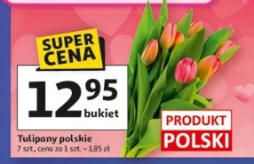 Tulipany polskie