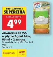 Zawieszka do WC w płynie Agent Max
