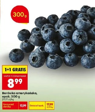 Borówka amerykańska
