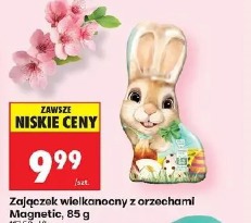 Zajączek wielkanocny z orzechami Magnetic