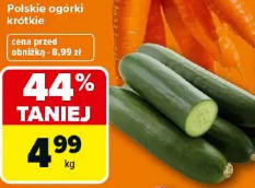 Polskie ogórki krótkie