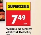 Wanilia naturalny ekstrakt Delecta
