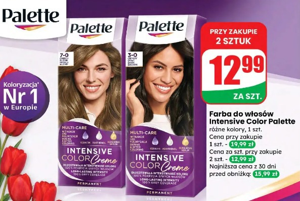 Farba do włosów Intensive Color Palette