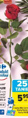 Róża premium Carrefour