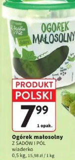 Ogórek małosolny Z Sadów I Pól