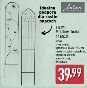 Belavi Metalowa krata do roślin