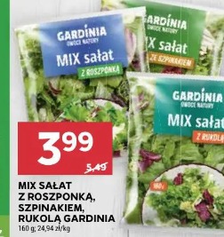 Mix sałat z roszponką, szpinakiem, rukolą Gardinia