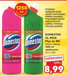 Domestos XL pack płyn do WC