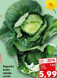 Kapusta biała młoda