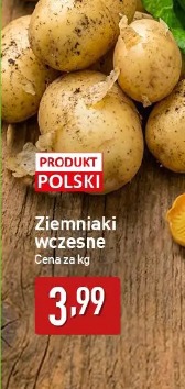 Ziemniaki wczesne