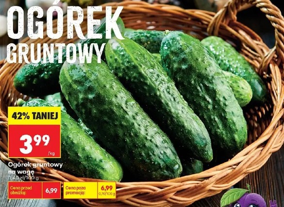 Ogórek gruntowy