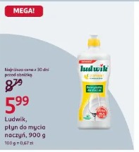 Ludwik, płyn do mycia naczyń