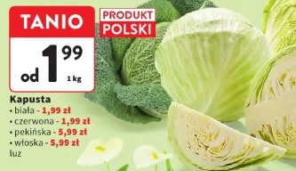 Kapusta biała/czerwona/pekińska/włoska