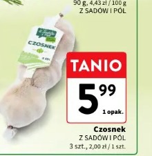 Czosnek z sadów i pól