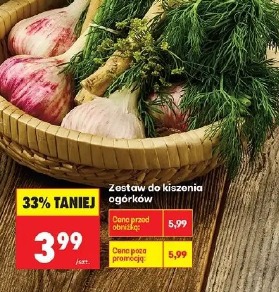 Zestaw do kiszenia ogórków