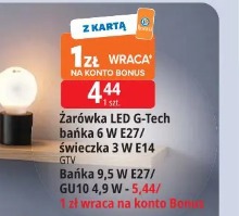 Żarówka LED G-Tech bańka 6 W E27/świeczka 3 W E14 GTV