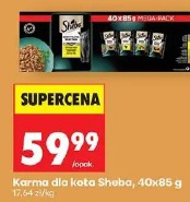 Sheba karma dla kota