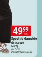 Spodnie damskie dresowe Moraj