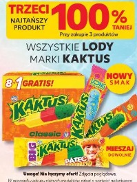 Wszystkie lody marki Kaktus
