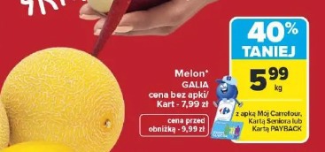 Melon galia