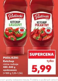 Pudliszki Ketchup