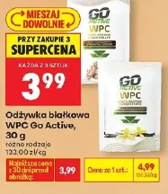 Odżywka białkowa WPC Go Active