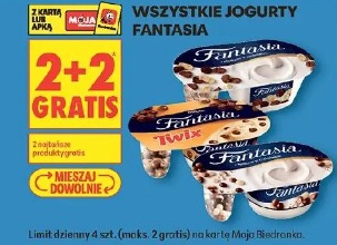 Wszystkie jogurty Fantasia